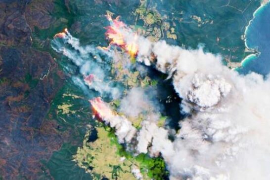 Smoke from massive wildfires in Australia led to algae bloom