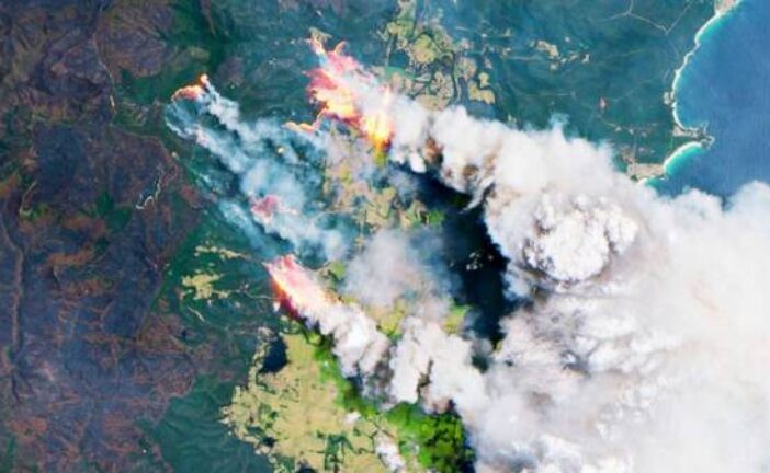 Smoke from massive wildfires in Australia led to algae bloom
