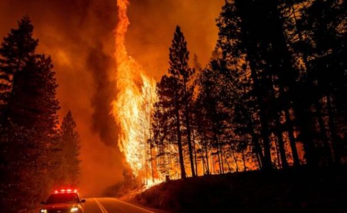 Impact of forest thinning on wildfires creates divisions
